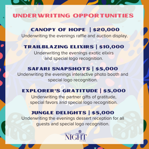 Best Night Ever 2024 Underwriting Opportunities